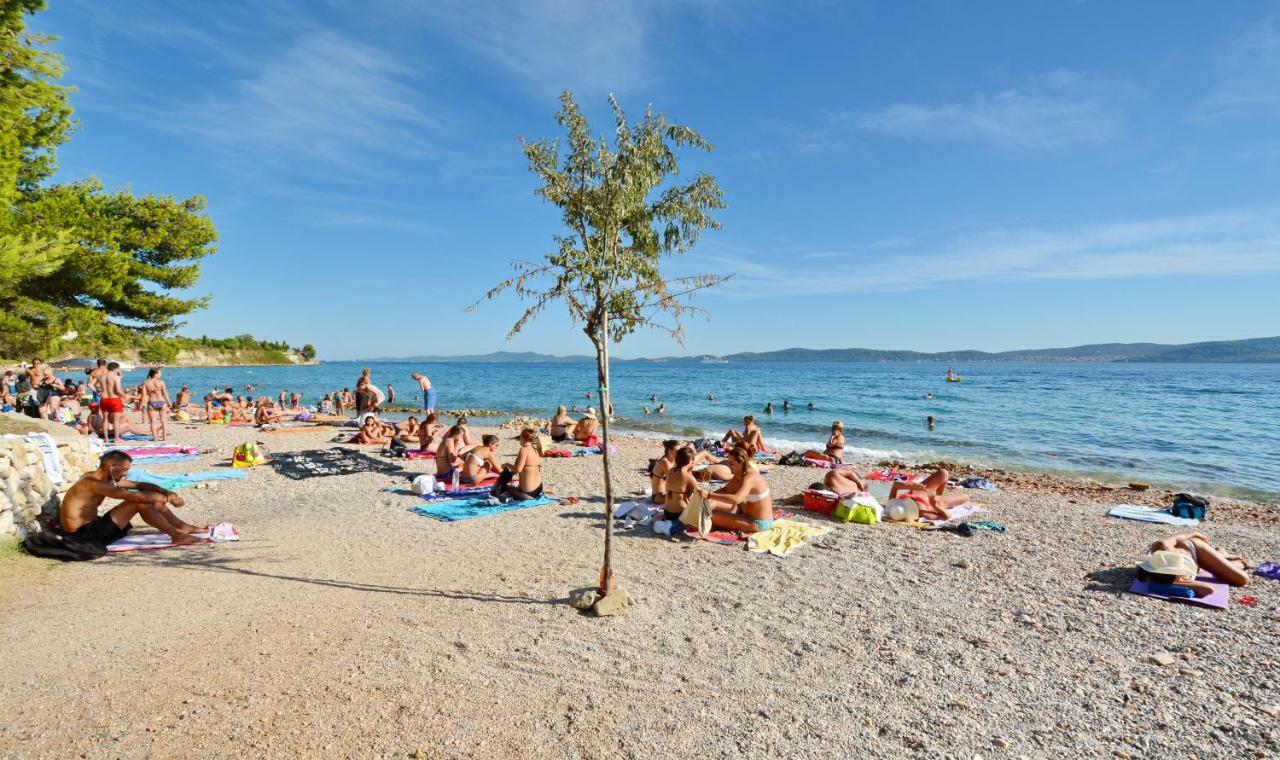 Apartman Olive Garden Zadar Exteriér fotografie